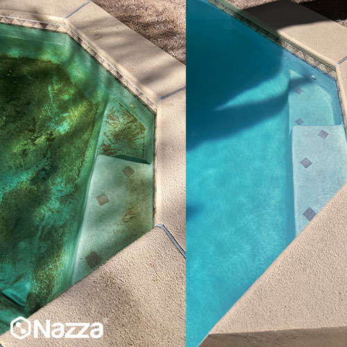 Comparativa de piscina antes y después del tratamiento: de agua verde con algas a agua limpia y transparente.